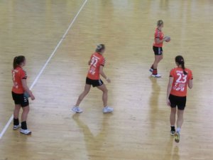 CIMG2220 (FILEminimizer)